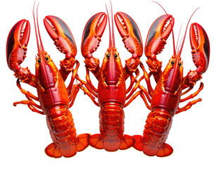 Three cooked lobsters with vibrant red shells and large claws