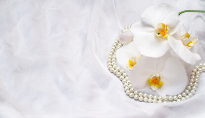 The branch of white orchids on white fabric background
