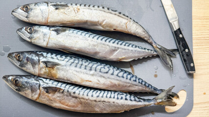 Caught with glistening silver scales, four pristine mackerels rest on a cutting board, evoking...