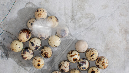 Speckled quail eggs cradle a solitary feather, invoking Ostara's renewal and whimsical culinary artistry April 5, 2025, Barcelona, Spain