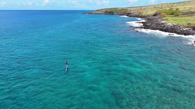 Aerial view of a paddleboarder gliding across clear turquoise water near the dark rocky shoreline contrasting with the green landscape, Hawi, Hawaii, United States.