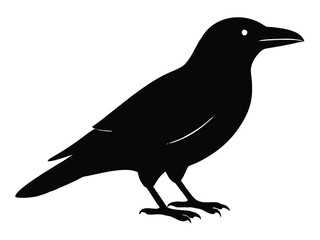 crow sitting silhouette vector icon