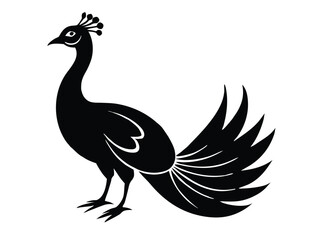 displaying peacock silhouette vector icon