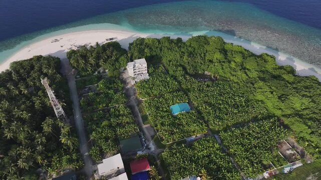Aerial view of buildings and dense trees, with vibrant roof colors contrasting with the lush greenery, Kamadhoo, Baa Atoll, Maldives.