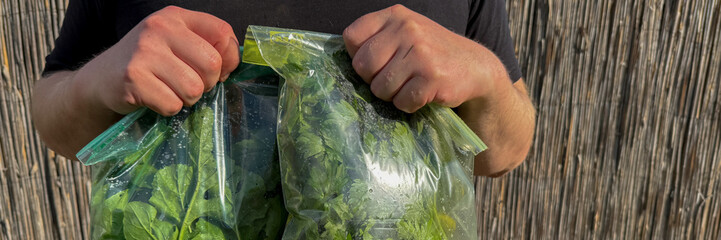 Two bags of freshly harvested greens clutched fervently, evoking Earth Day's verdant essence and Celtic May Day rituals April 5, 2025, Barcelona, Spain