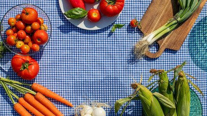 Fresh vegetables on vibrant gingham evoke harvest celebration, Earth Day feast, rustic bounty with cornucopia vibes April 5, 2025, Barcelona, Spain