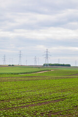 A tapestry of verdant crops stretches under brooding skies, whispering the secrets of Earth Day and AgriTech innovations April 5, 2025, Barcelona, Spain