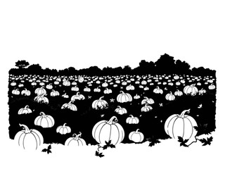 Dynamic and Eerie: This New Pumpkin Patch Silhouette Illustration Captures the Mood of Halloween Night with a Stack of Pumpkins on a Transparent Background.