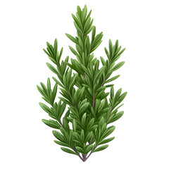 Fototapeta premium Intricate green plant design illustration