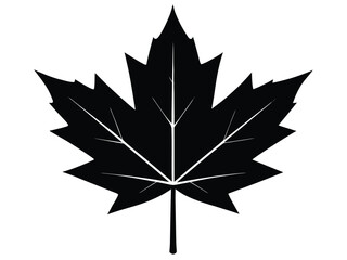 Obraz premium maple leaf silhouette vector icon
