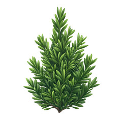 Fototapeta premium Isolated lush green plant for graphic design and illustration