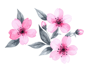 Watercolor floral arrangement with pink blossoms and gray leaves against black