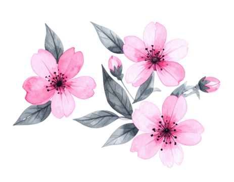 Watercolor floral arrangement with pink blossoms and gray leaves against black - Powered by Adobe