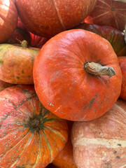 Autumn Orange Pumpkin
