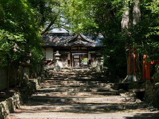 木漏れ日が差し込む伊居太神社の参道