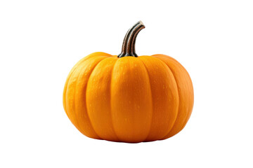 Bright orange pumpkin isolated on transparent background. Butternut squash pumpkin isolated on white background.