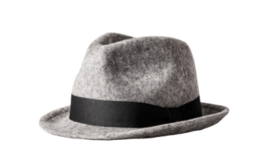 Light gray fedora with a black band