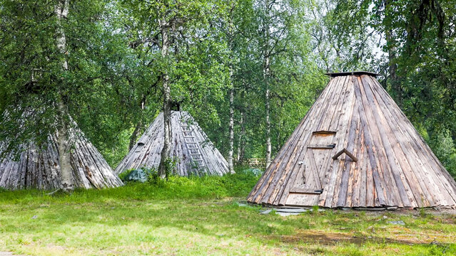 Three traditional S&aacute;mi (Lappish) wooden huts (lavvu or town style) in a clearing surrounded by birch trees