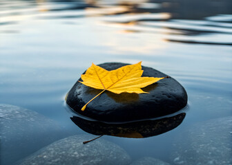 Yellow Leaf Resting on Black Stone in Calm Water