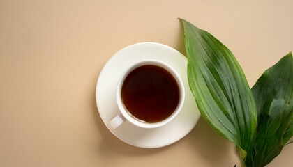 Elegant White Coffee Cup With Green Leaves On Pastel Beige Backdrop