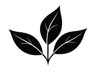 tea leaves silhouette vector icon