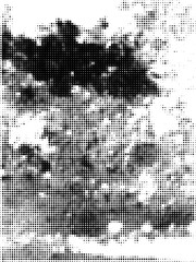 Pop Art Vector Background Halftone Dots with Grunge Effect Texture