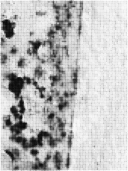 Grunge Halftone Dots Texture Pop Art Background Vector Template