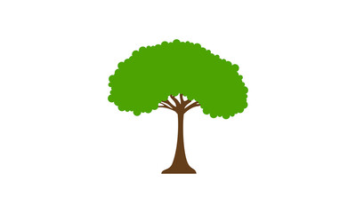 Fresh shady tree vector logo