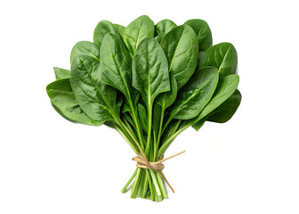 Fresh bunch of green spinach leaves isolated on transparent background
