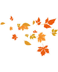 Autumn Leaves Vector Seamless Pattern – Colorful Maple, Oak, and Fall Foliage Background for Posters, Greeting Cards, Flyers, Seasonal Invitations, Digital Illustrations, and Web Templates