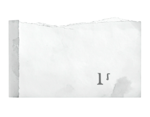 Torn, aged paper with a number, stains, and a deckled edge