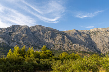 Biokovo Mountains and olive grove against the sky. Mountain landscape, Croatia. Copy space.