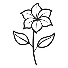 minimal nicotiana rustica flower vector illustration isolated