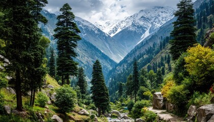 Obraz premium Lush valley, snow-capped peaks