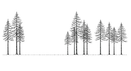 Fototapeta premium Minimalist Ink Drawing of Pine Trees Isolated on White Background, Nature Design