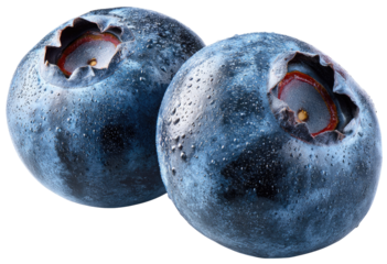 Two ripe blueberries, close-up, showing detail