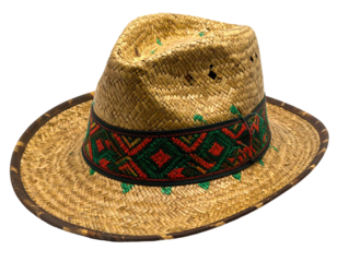 A straw hat with a decorative band. It's tan, with a dark-brown brim