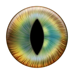 Yellow, brown, and blue cat eye with slit pupil. Contact lenses featuring a dragon, reptile, or crocodile. Vector illustration.