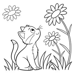 Fototapeta premium cat