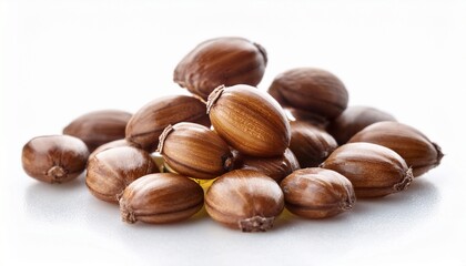 Obraz premium Fresh Tung Oil Close Up On White Background
