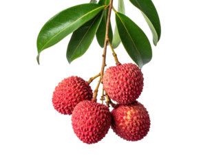 A cluster of ripe, textured pink fruit with green leaves, isolated on black