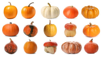 Fresh pumpkins isolated on white, set. Autumn vegetable