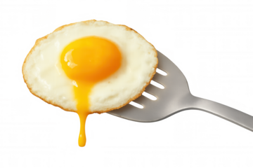 Fried egg sunny side up on a metal spatula with runny yolk dripping, cutout on transparent background