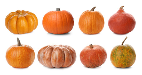 Fresh pumpkins isolated on white, set. Autumn vegetable