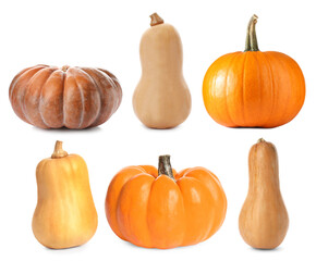 Fresh pumpkins isolated on white, set. Autumn vegetable