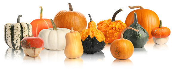Many different fresh pumpkins isolated on white