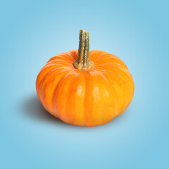 Whole ripe pumpkin on light blue background