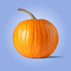 Whole ripe pumpkin on pale blue background