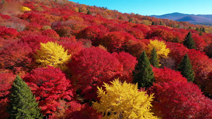 autumn in the mountains