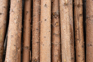 Natural wooden logs stacked closely together, showcasing their rough texture and earthy tones, ideal for construction, crafting, or decorative purposes in various projects